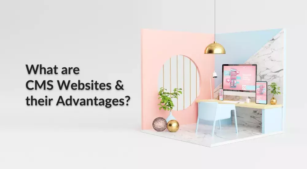 What are CMS Websites and their Advantages?
